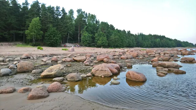 Munitsipal'nyy Park Smolyachkovo