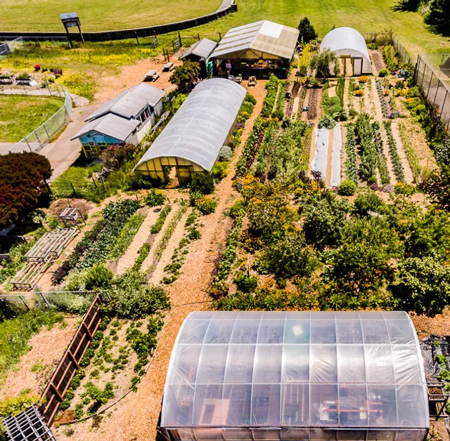 Noyo Food Forest