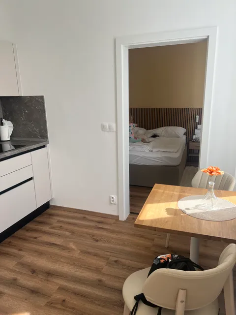 Design Apartments Lužánky