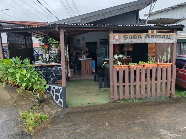 Soda Abigail