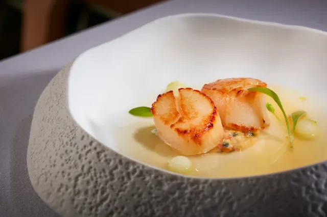 Coral - Gastronomic Restaurant