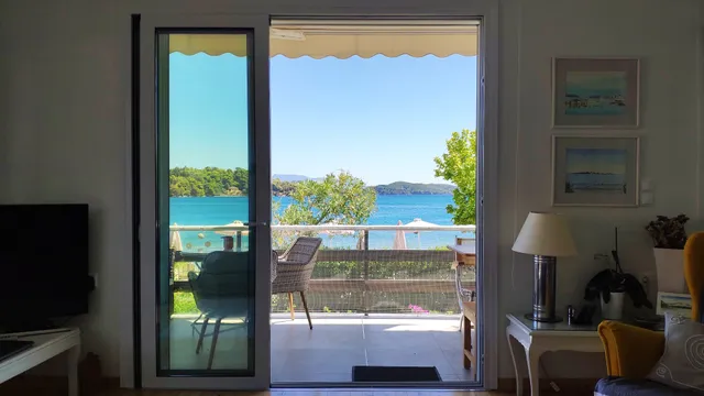 Two Palm Trees Apartment