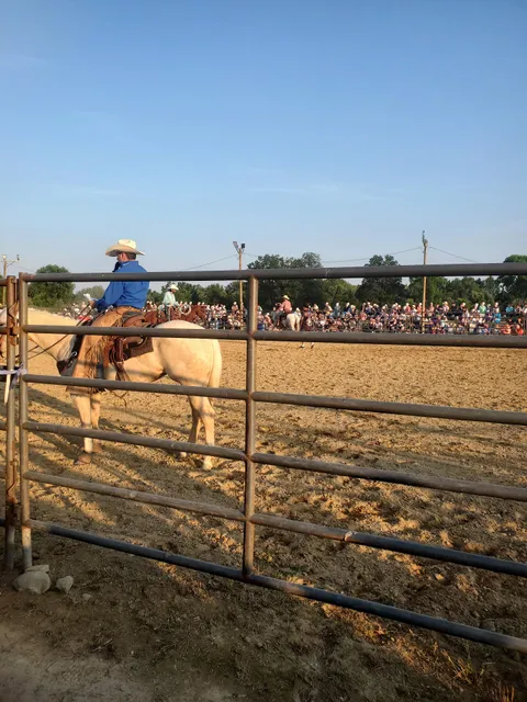 Bloomfield Livestock Auction