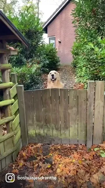 vakantiehuis ‘Boshuisje Doldersum’: natuurhuisje met prachtig Uitzicht