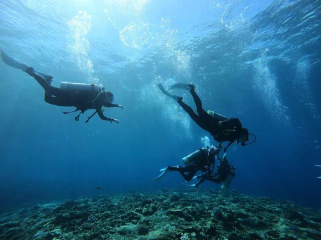 Koh ocean · 嶼海 綠島自由潛水旅宿