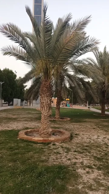 Al Mazn Park