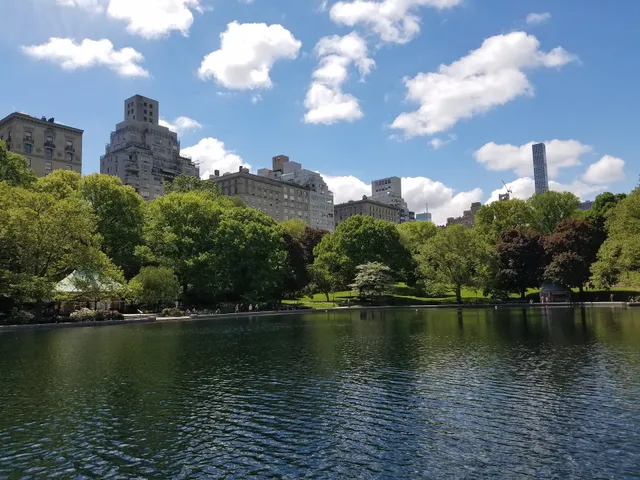 The Lake Viewing Area