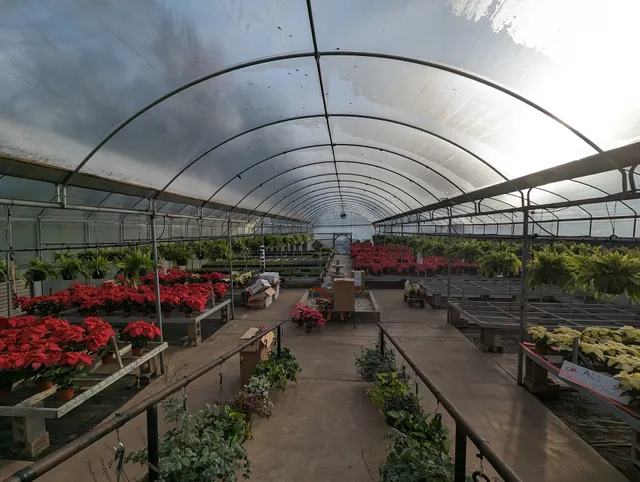 Cook's Nursery