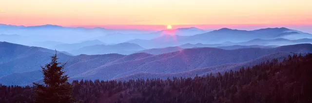 Friends of the Smokies