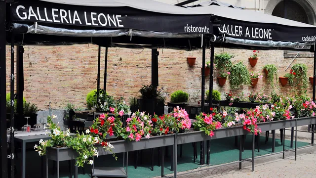 Galleria Leone - Bistrò D'Arte