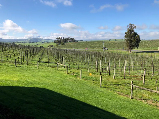 Cellar Door at Balgownie Estate