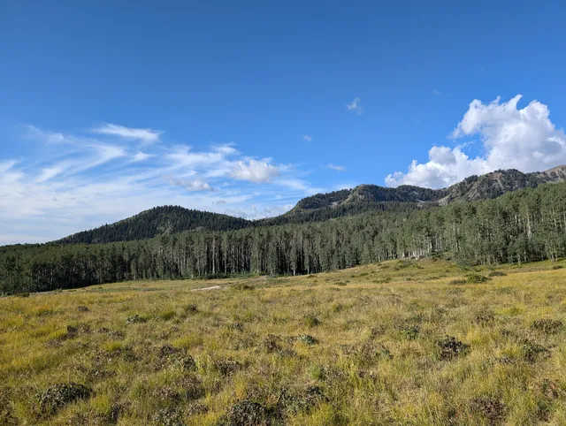 Little Joe Loop Trailhead