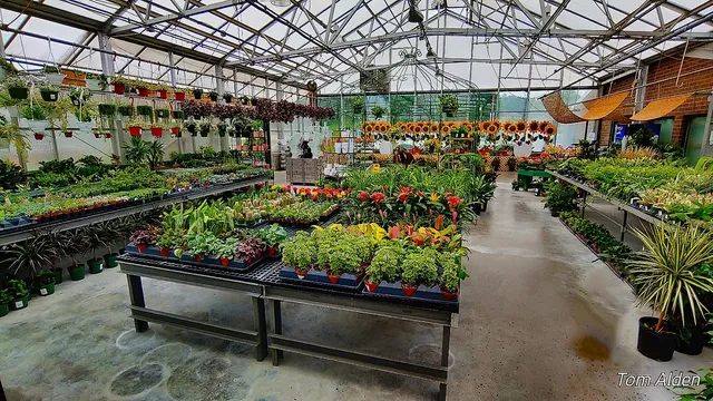 Laurel True Value Center