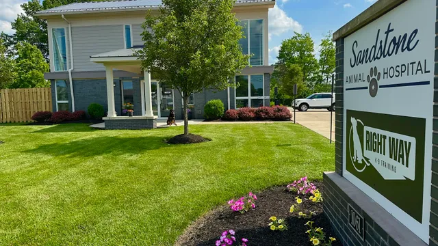 Right Way K9 Training