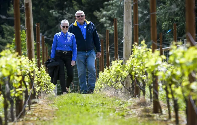 Bluebird Hill Cellars