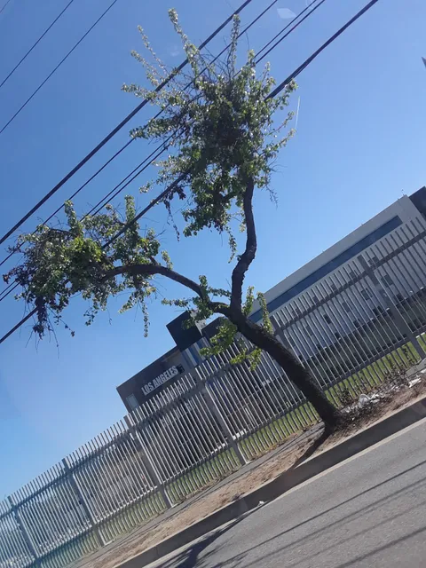 Los Angeles Southwest College Library