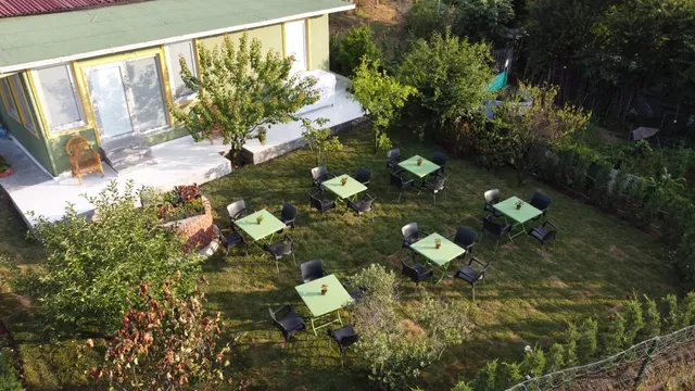 Forest Blue Beach Hotel