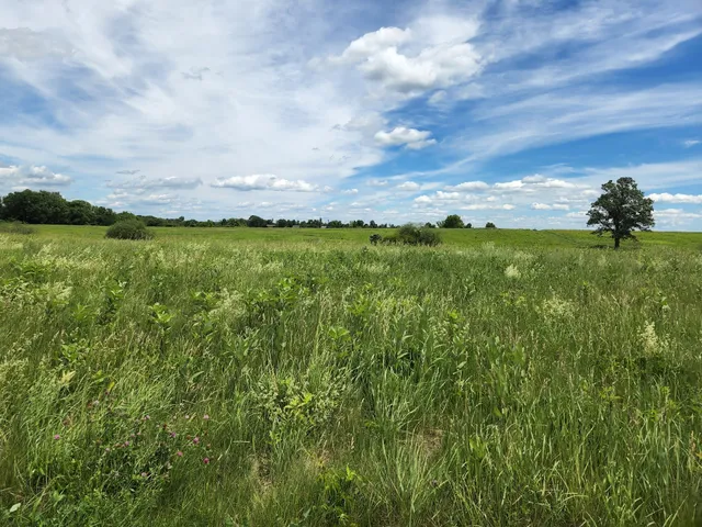 Happy Landings Protected Open Space