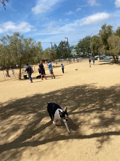 Boneyard Dog Park