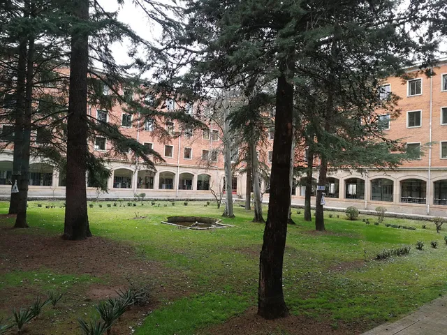 Faculty of Psychology