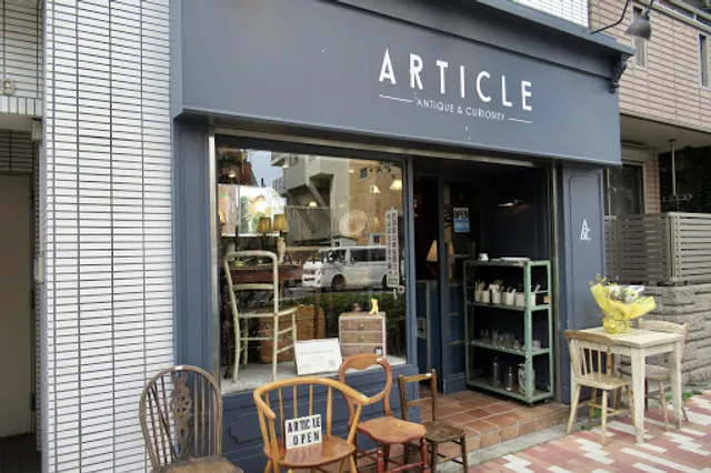 ARTICLE Antique & Curiosity