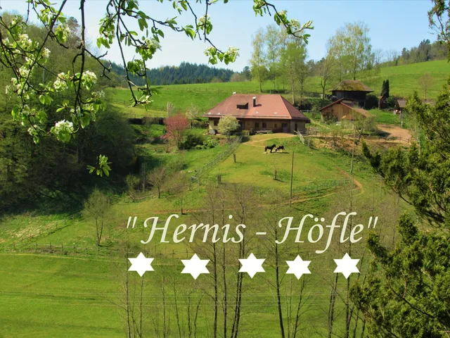 Hernis-Höfle Komfort Ferienwohnung mit 104 qm