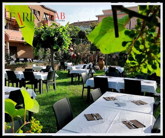 Farina Lab Marina Palmense (FM)