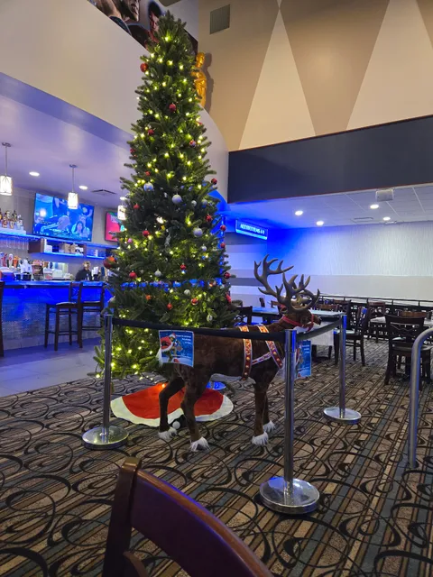 Chester Movie Cinemas