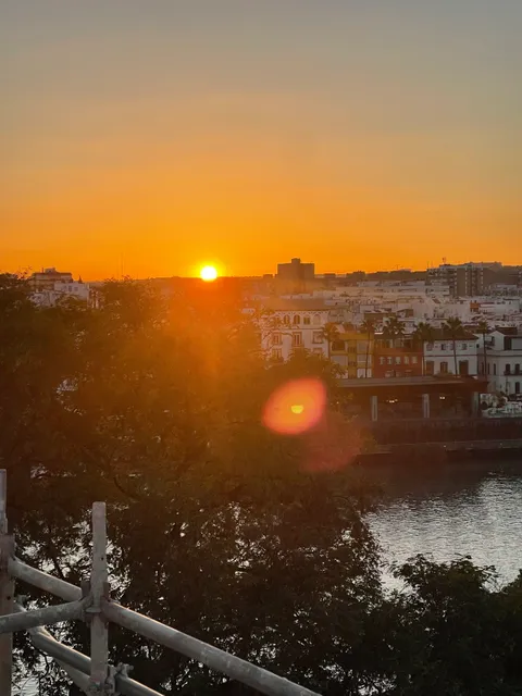 Local Food Experiences