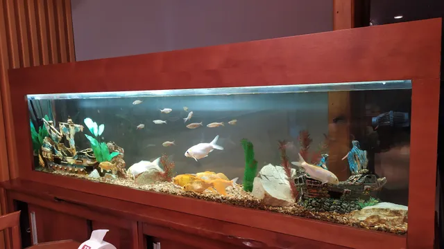 Boteco do Gnomo Restobar