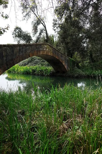 Parco della Versiliana