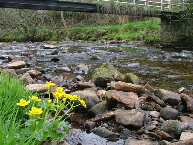 Haltwhistle Burn