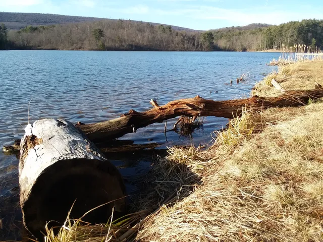 Stone Valley Recreation Area