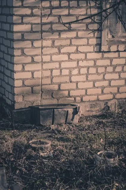 Boll Weevil Monument