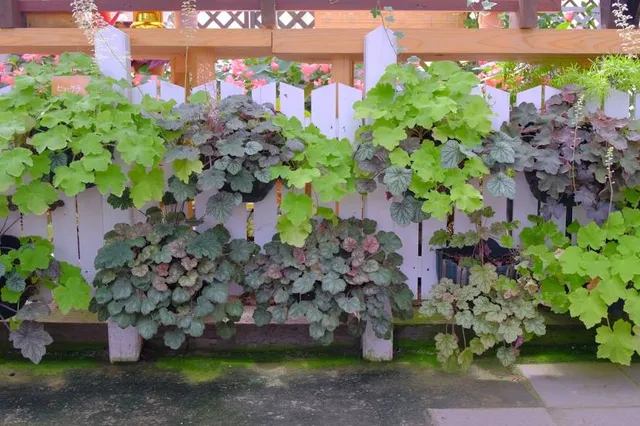 Biltmore Walled Garden