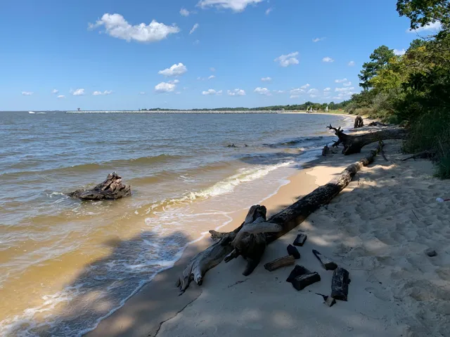 Roaring Point Park