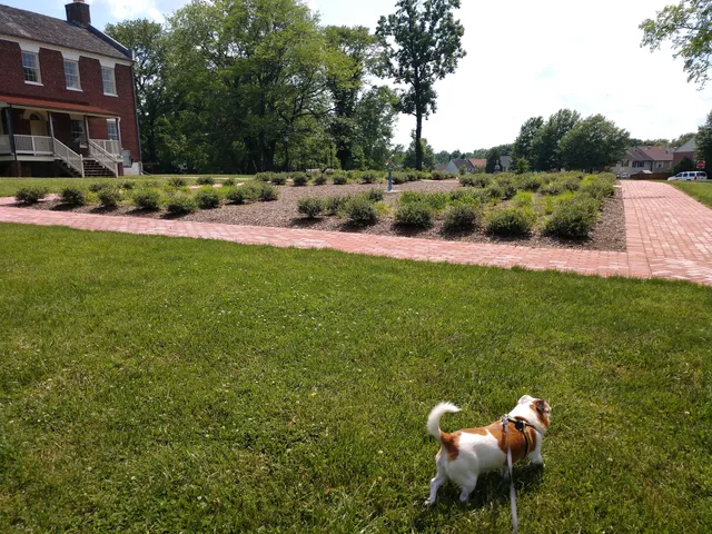 photo-1