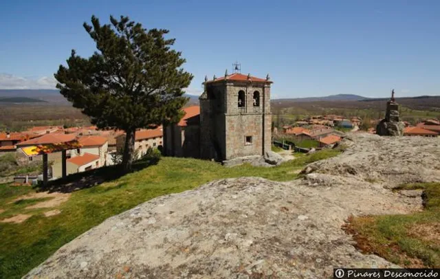 Museo del Árbol Fósil