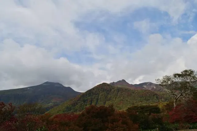Goyoutsutsuji（Cork Azalea) Observation deck