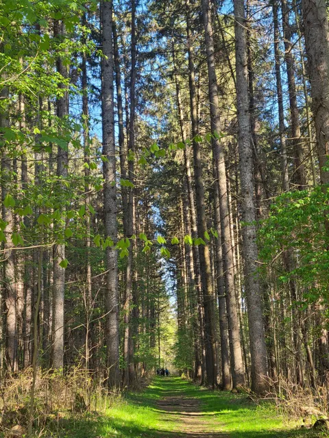 Blue Cut Nature Center