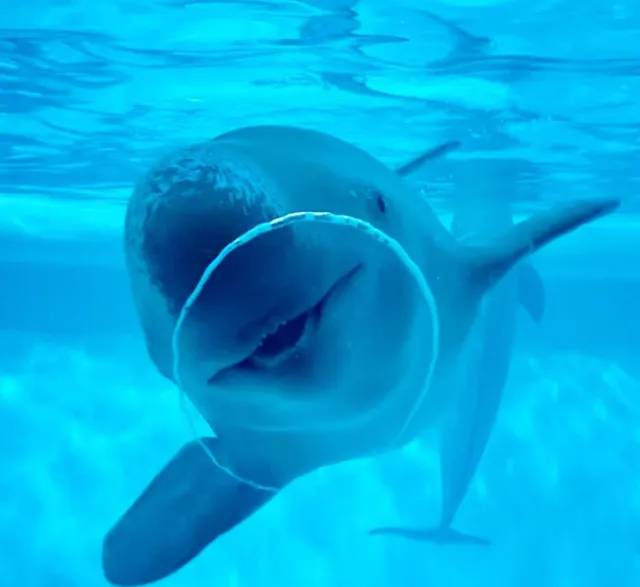 Marine World
