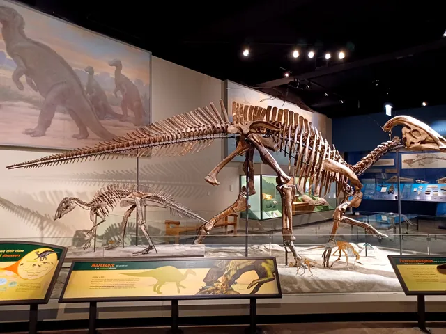 Griffin Halls of Evolving Planet