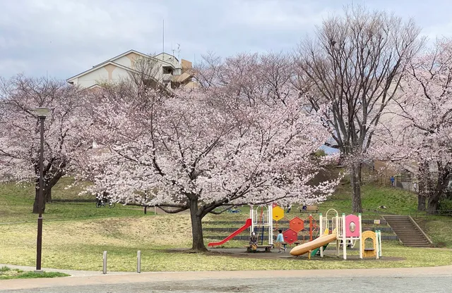 Tōkaichiba Higashi Park