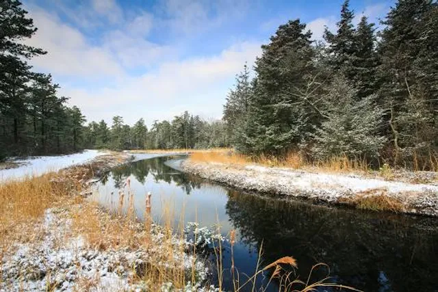 Whitesbog Preservation Trust