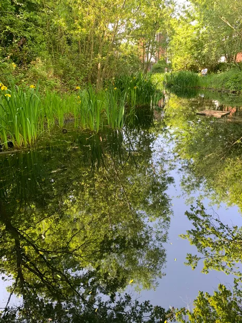 Dacres Wood Nature Reserve