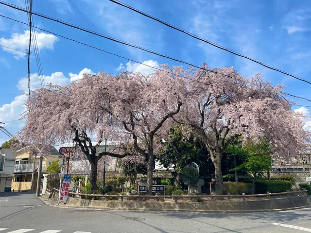 Daibutsu Tetsudo Memorial Park