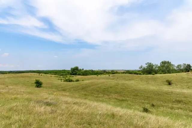 Deliblatska Peščara