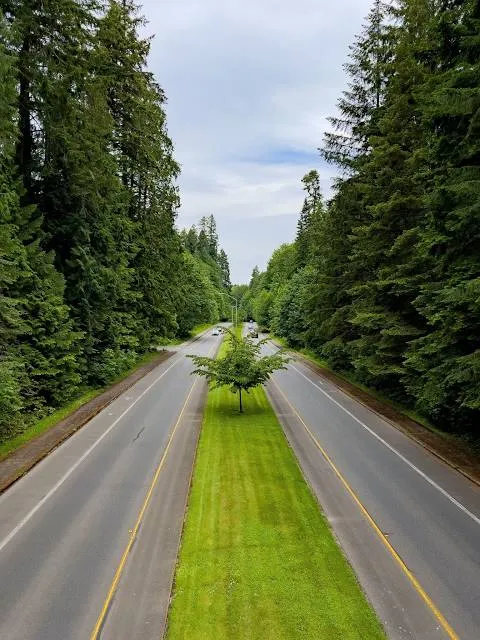 Squaxin Park (Priest Point)