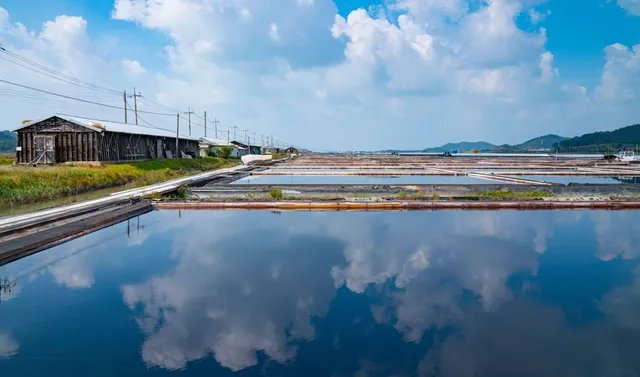 Taepyeong Halophytes Botanical Garden