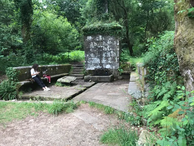 Parque Forestal da Selva Negra